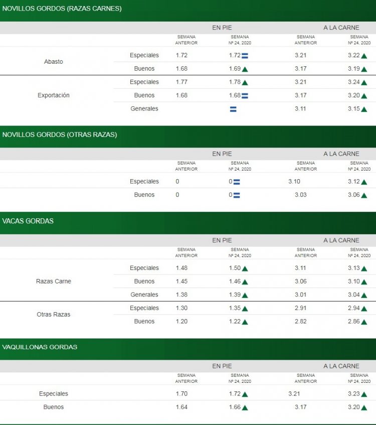 Con mercado firme, los valores de la hacienda se ajustaron al alza