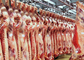 Secco: “Tenemos que seguir apuntando al Uruguay Natural, equilibrado y sustentable”