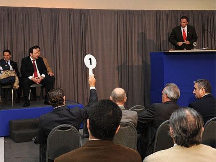 Transparencia e  izquierda caviar