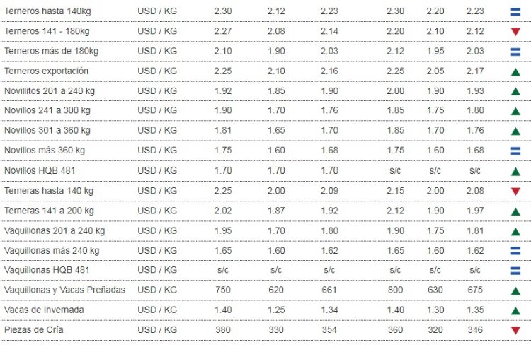 Con mercado firme, los valores de la hacienda se ajustaron al alza