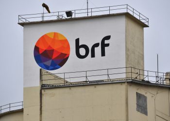 La industria cárnica de Brasil entre el COVID-19 y la solidaridad