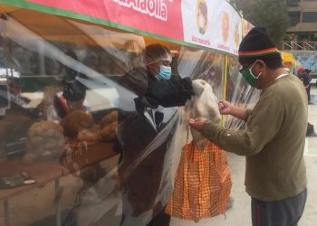 Perú impulsa mercados itinerantes para llevar la producción agrícola de la granja al consumidor