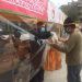 Perú impulsa mercados itinerantes para llevar la producción agrícola de la granja al consumidor