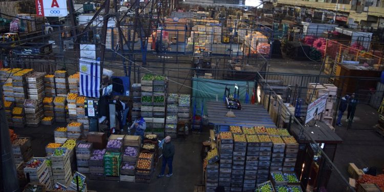 Encuesta de la FAO muestra cómo la pandemia afecta a los mercados mayoristas