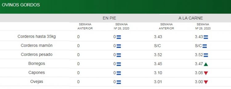 ACG: Los valores subieron con firmeza