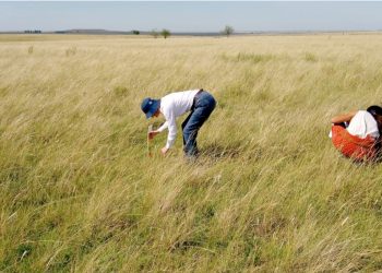 “La mujer es muy importante en la ruralidad”, Ing. Agr. Esteban Carriquiry