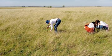 “La mujer es muy importante en la ruralidad”, Ing. Agr. Esteban Carriquiry