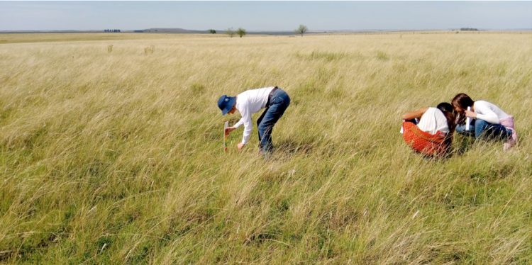 “La mujer es muy importante en la ruralidad”, Ing. Agr. Esteban Carriquiry
