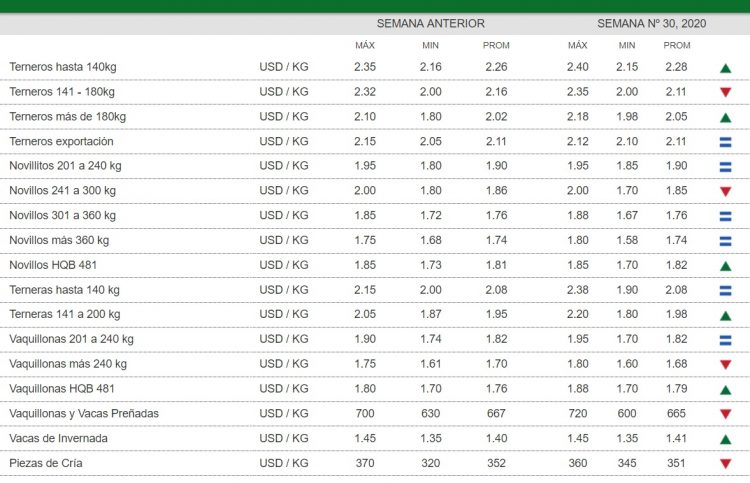 Siguen aumentando los valores del mercado de haciendas