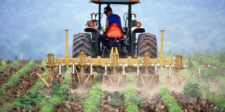 Ministros americanos destacaron el agro como motor para la recuperación económica pospandemia