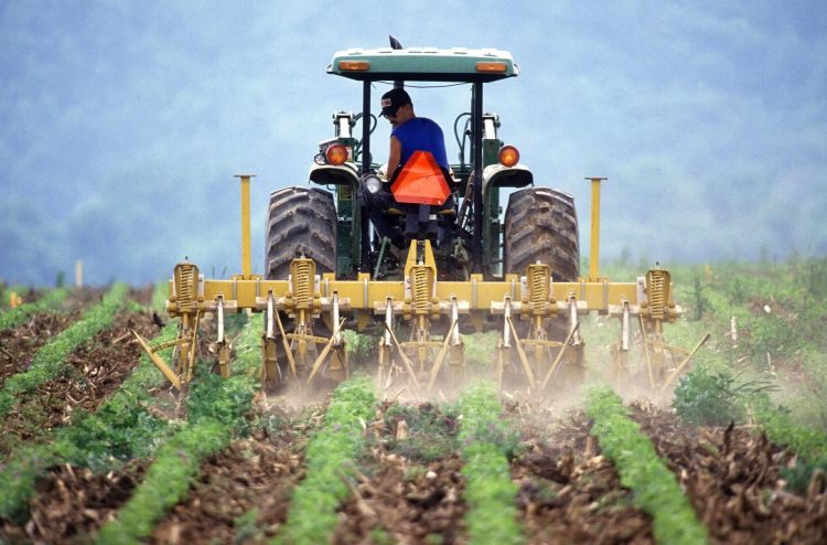 Ministros americanos destacaron el agro como motor para la recuperación económica pospandemia