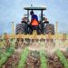 Ministros americanos destacaron el agro como motor para la recuperación económica pospandemia