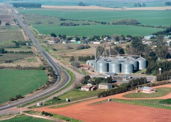 AS Agronegocios: Una empresa familiar que se diversifica