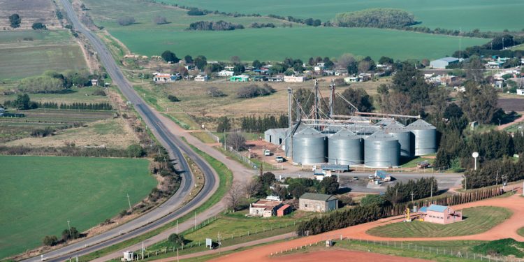 AS Agronegocios: Una empresa familiar que se diversifica