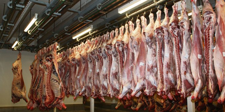 Ejercicio agrícola: menor faena, precios altos, y elevada recaudación