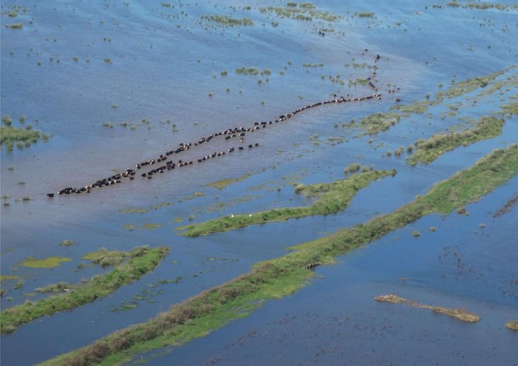 Inundaciones en Rocha: Gobierno pone especial énfasis en buscar soluciones