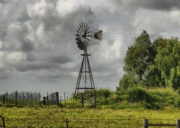 Cien años de cambios y permanencias