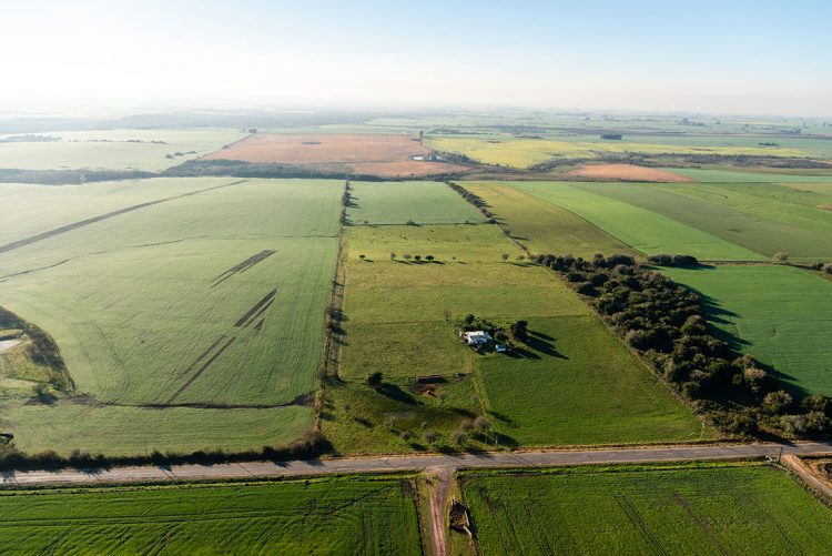 AS Agronegocios: Una empresa familiar que se diversifica