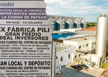 La vía de la dependencia progresista