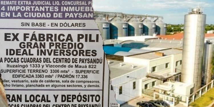 La vía de la dependencia progresista