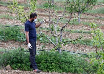 Europa comienza a valorar los trabajadores zafrales y dicta pautas para garantizar sus derechos