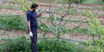 Europa comienza a valorar los trabajadores zafrales y dicta pautas para garantizar sus derechos