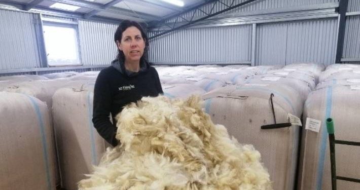 Piden al gobierno de Nueva Zelanda que use lana en edificios y programas de vivienda