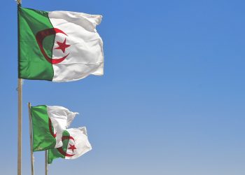 En el primer semestre 2020 las exportaciones a África crecieron 41 %