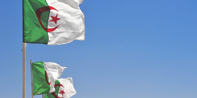 En el primer semestre 2020 las exportaciones a África crecieron 41 %