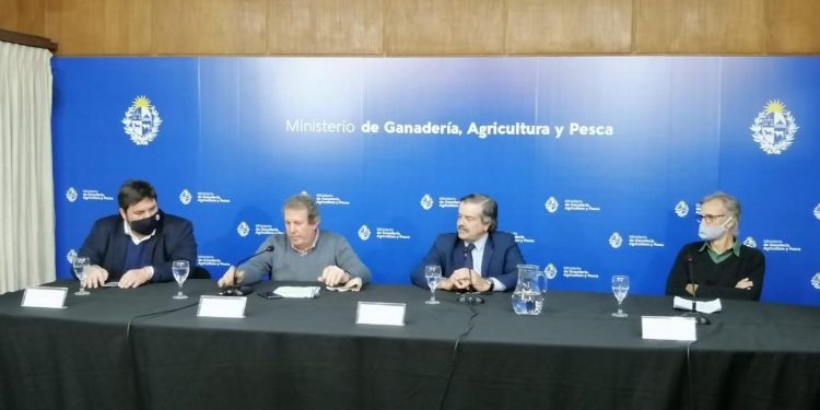 Los terneros superan los tres millones con destacado aumento del stock vacuno