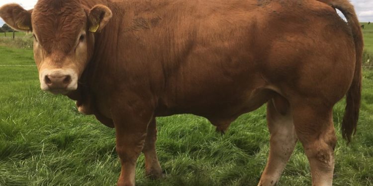 Consignatarios: “leve ajuste de valores”