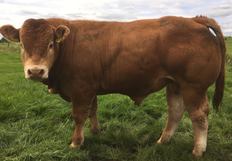 Consignatarios: “leve ajuste de valores”