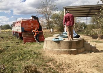 Por importante sequía, Paraguay perderá 200.000 cabezas de ganado