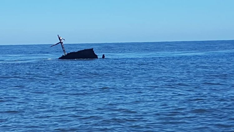 Una isla en el banco Inglés: El proyecto de un visionario