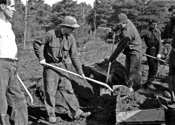 La cuestión del trabajo