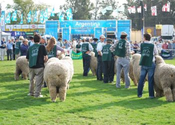 Las cabañas se preparan para un Prado diferente