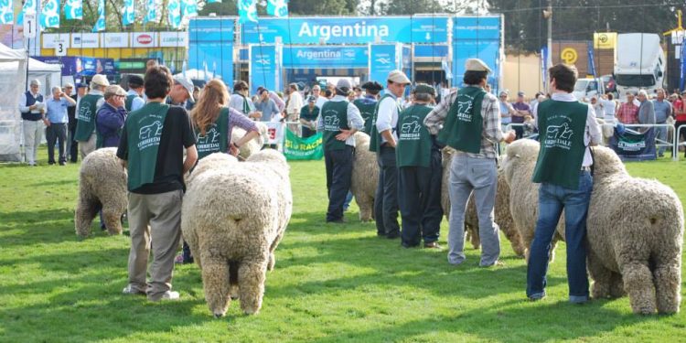 Las cabañas se preparan para un Prado diferente