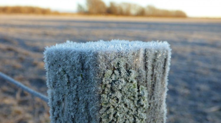 Frío extremo llega desde hoy a todo el país