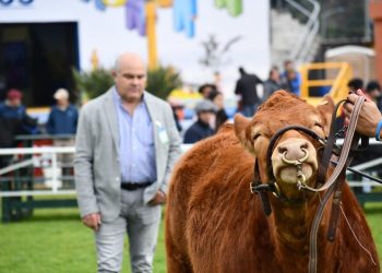 La Limousin no ha suspendido ninguna de sus actividades anuales