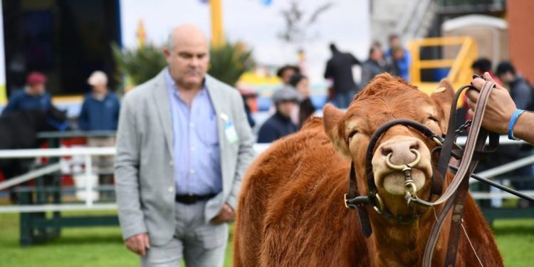 La Limousin no ha suspendido ninguna de sus actividades anuales
