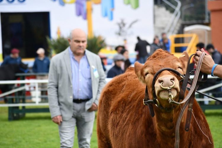 La Limousin no ha suspendido ninguna de sus actividades anuales
