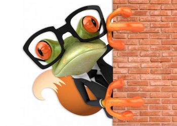 El zorro que pasó a ser sapo