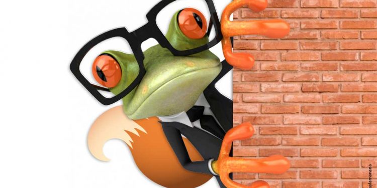 El zorro que pasó a ser sapo