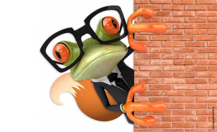 El zorro que pasó a ser sapo