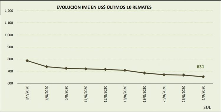 El valor de la lana sigue desplomándose