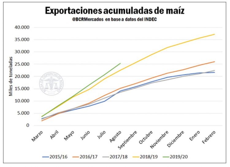 Más del 46 % de ingresos a Argentina desde abril, proviene del maíz y la soja
