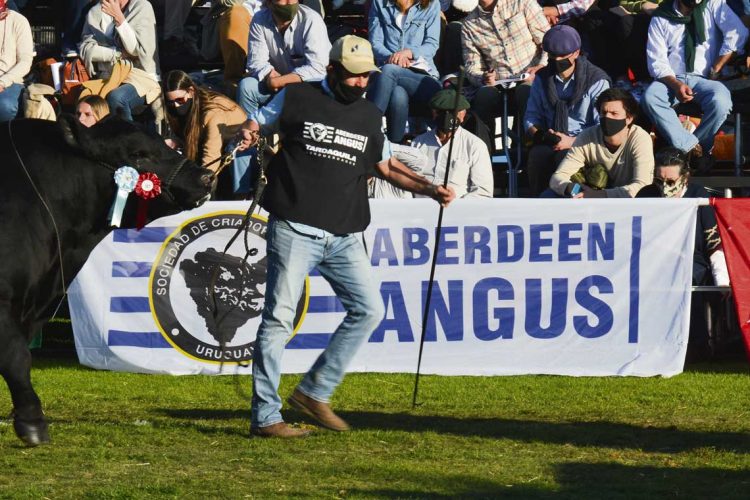 “Yo estoy con el campo”