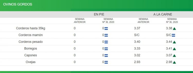 ACG: subieron los precios, cayó la faena de novillos y subió la de vacas