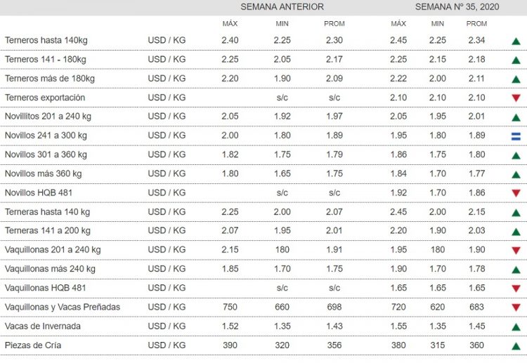 ACG: la demanda sigue reducida para ganados de pasturas