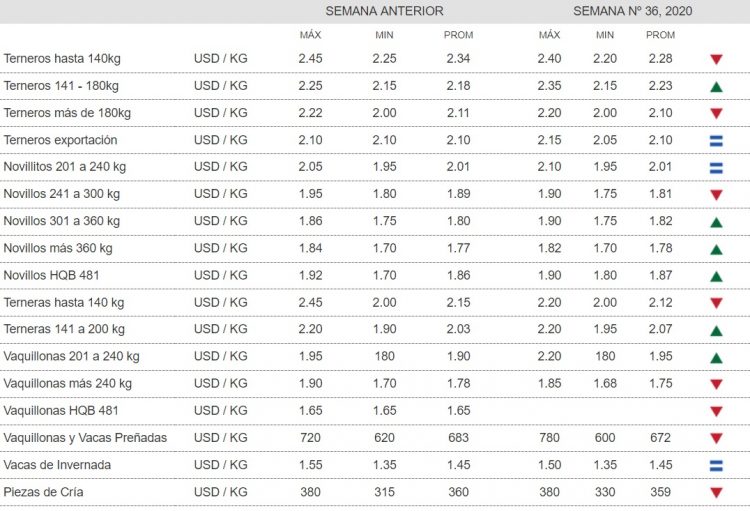 ACG: subieron los precios, cayó la faena de novillos y subió la de vacas